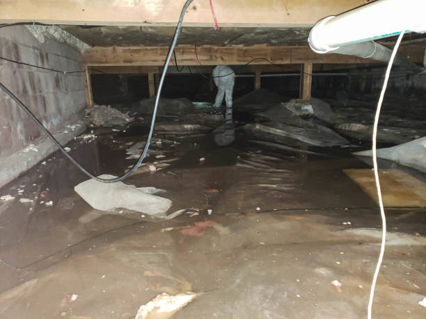 Professional Water damage restoration in Wadena, MN